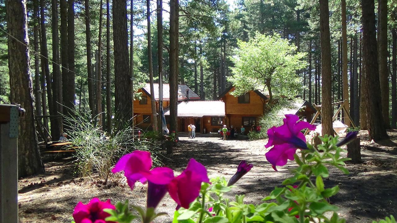 Chalet Clan Dei Ragazzi Linguaglossa Exterior foto